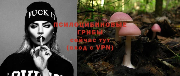 spice Абинск