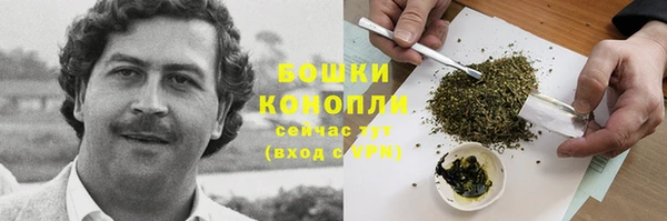 первитин Михайлов