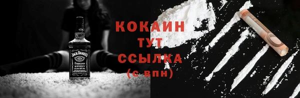 индика Орск